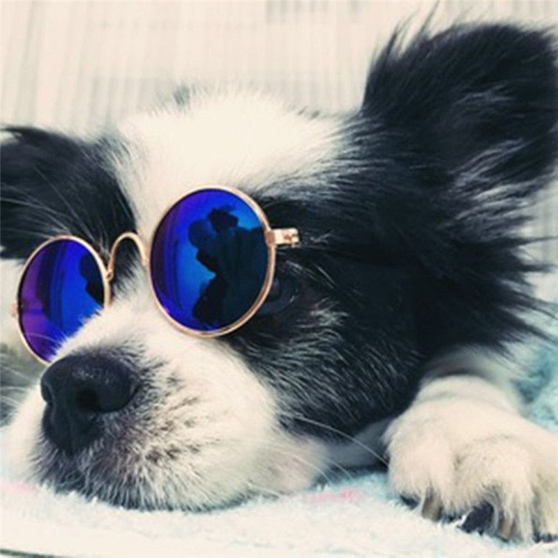 Luxury Pet Eye-wear