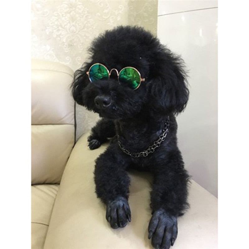 Luxury Pet Eye-wear