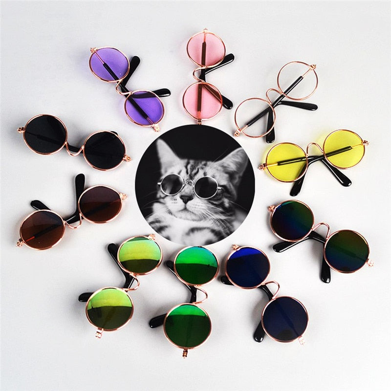 Luxury Pet Eye-wear