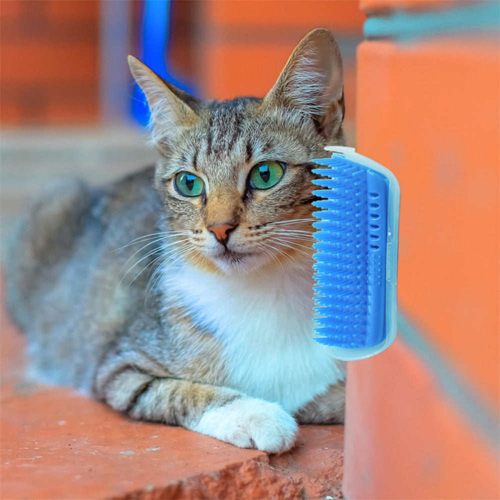 Cat Corner Groomer